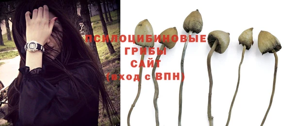 a pvp Абинск