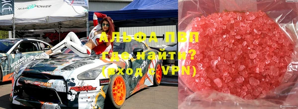 прущие грибы Абаза