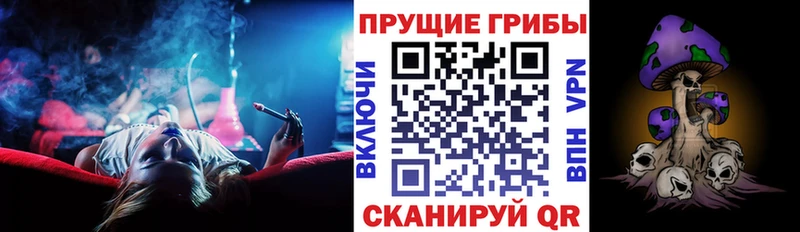 Псилоцибиновые грибы ЛСД  Алейск 